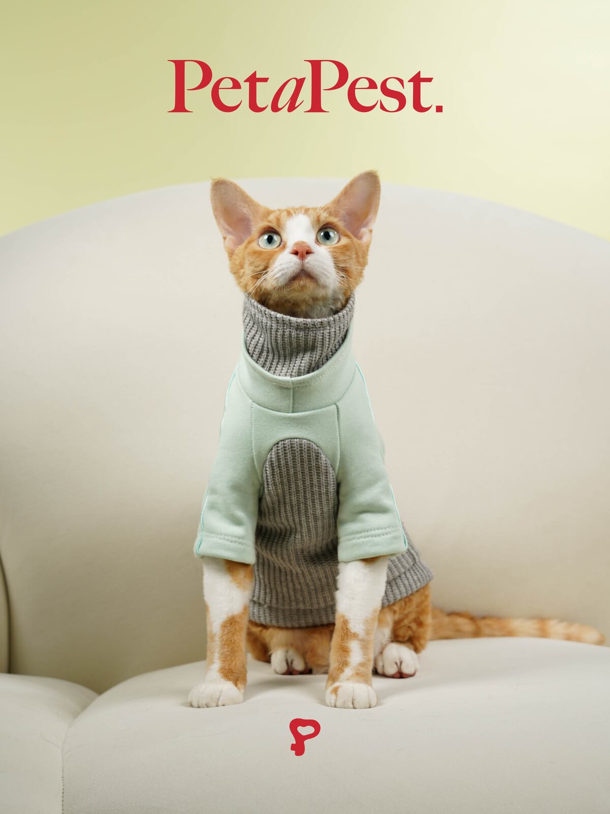Double Collars Patching Sweatshirt