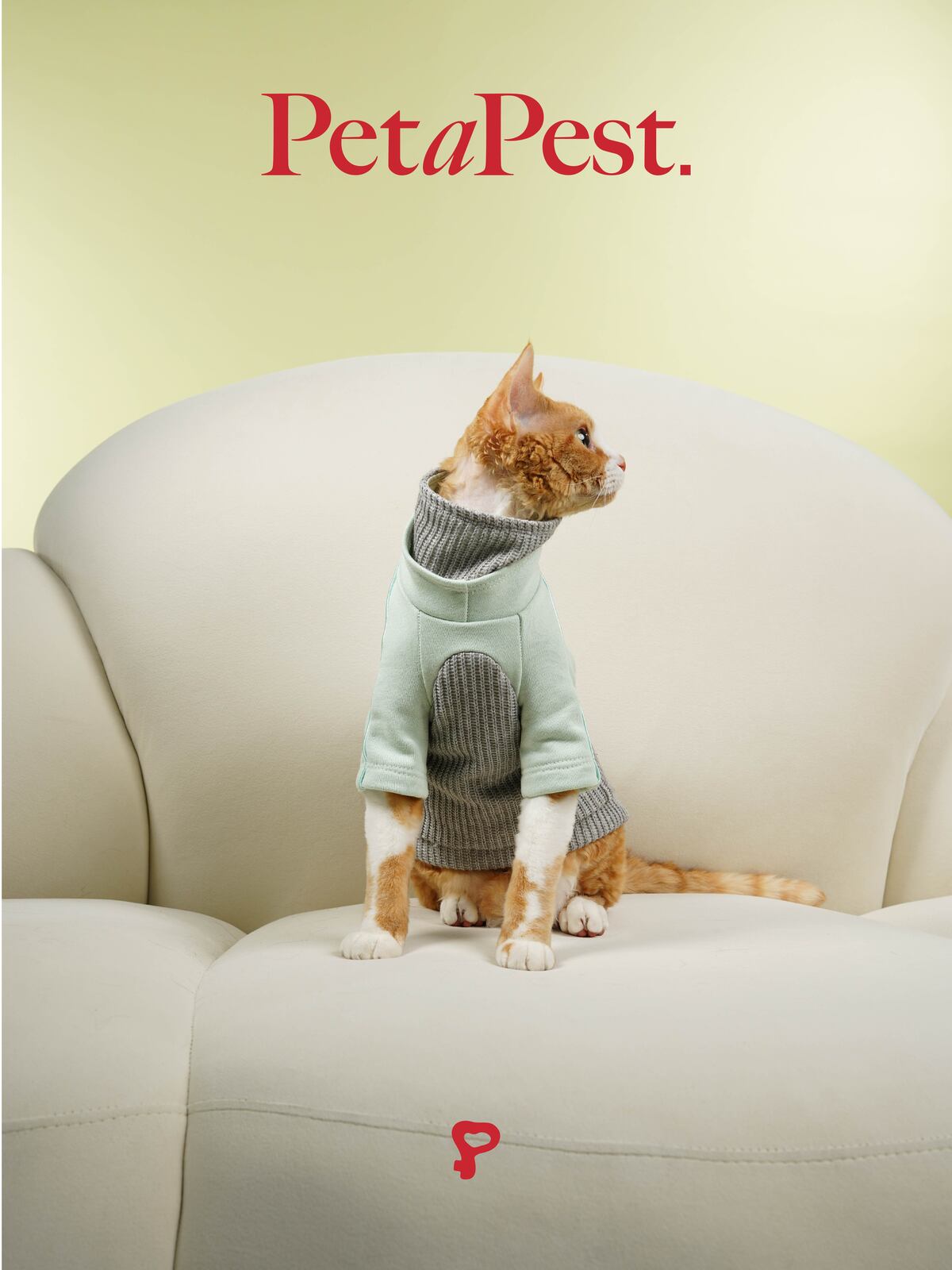 Double Collars Patching Sweatshirt
