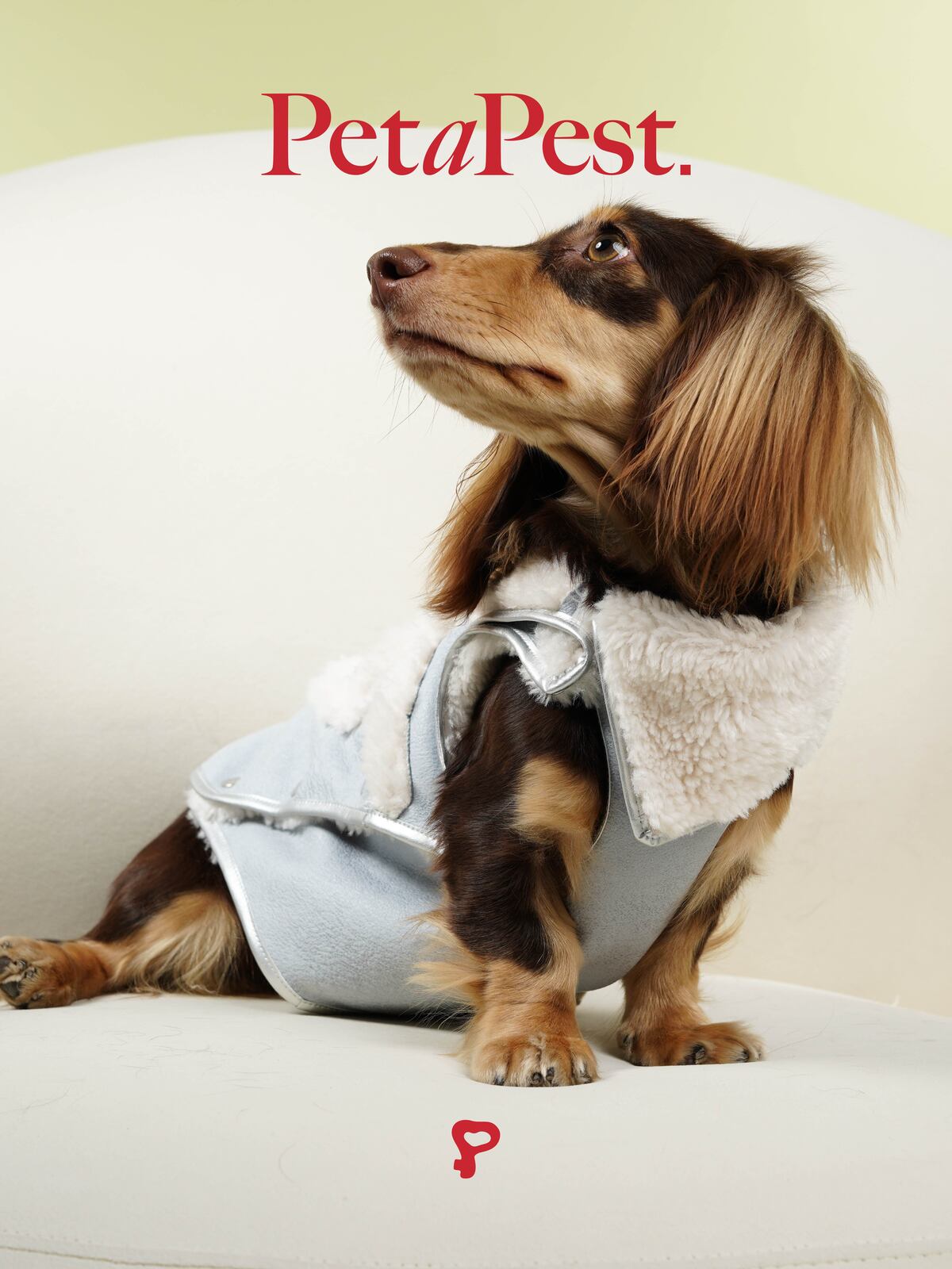 Eco-friendly Shearling Leather Gilet