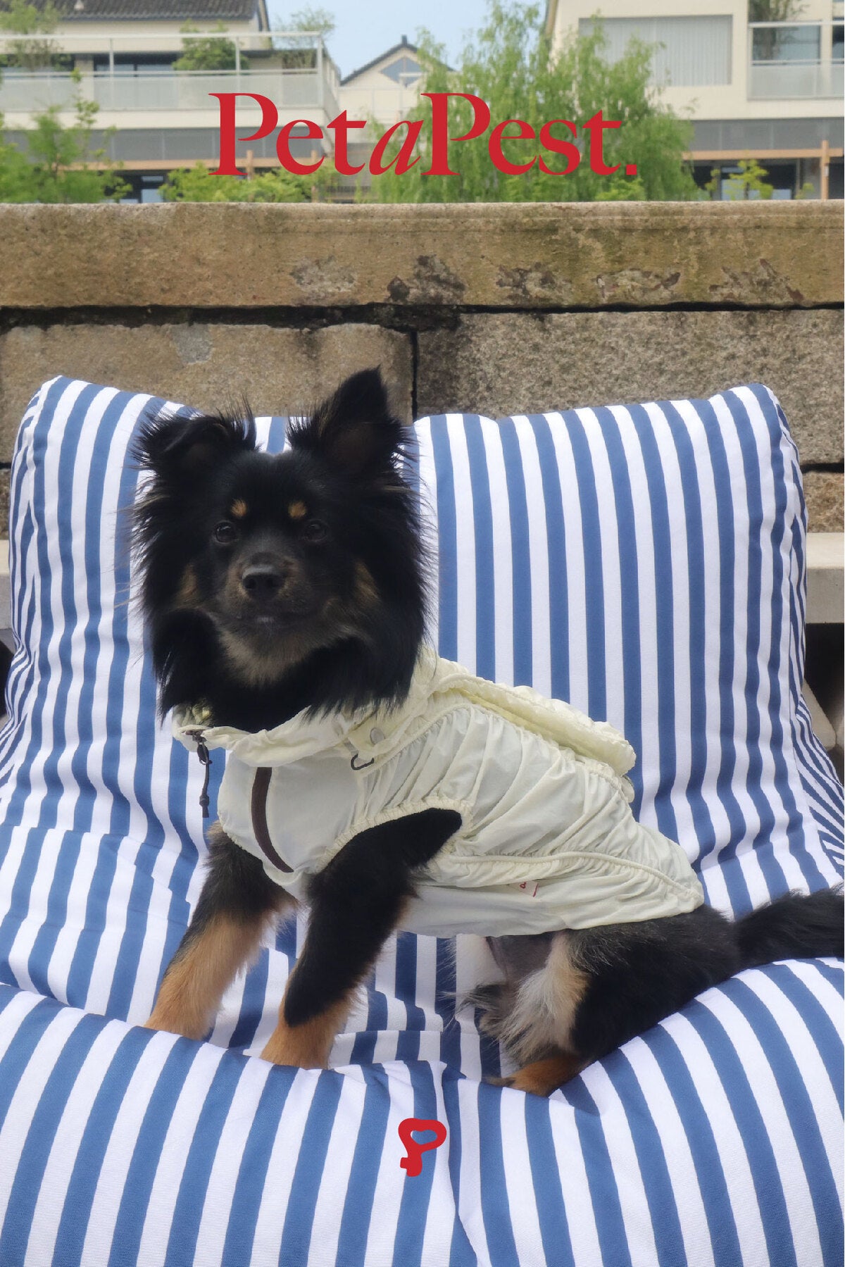 Smocking Sun Protective Jacket