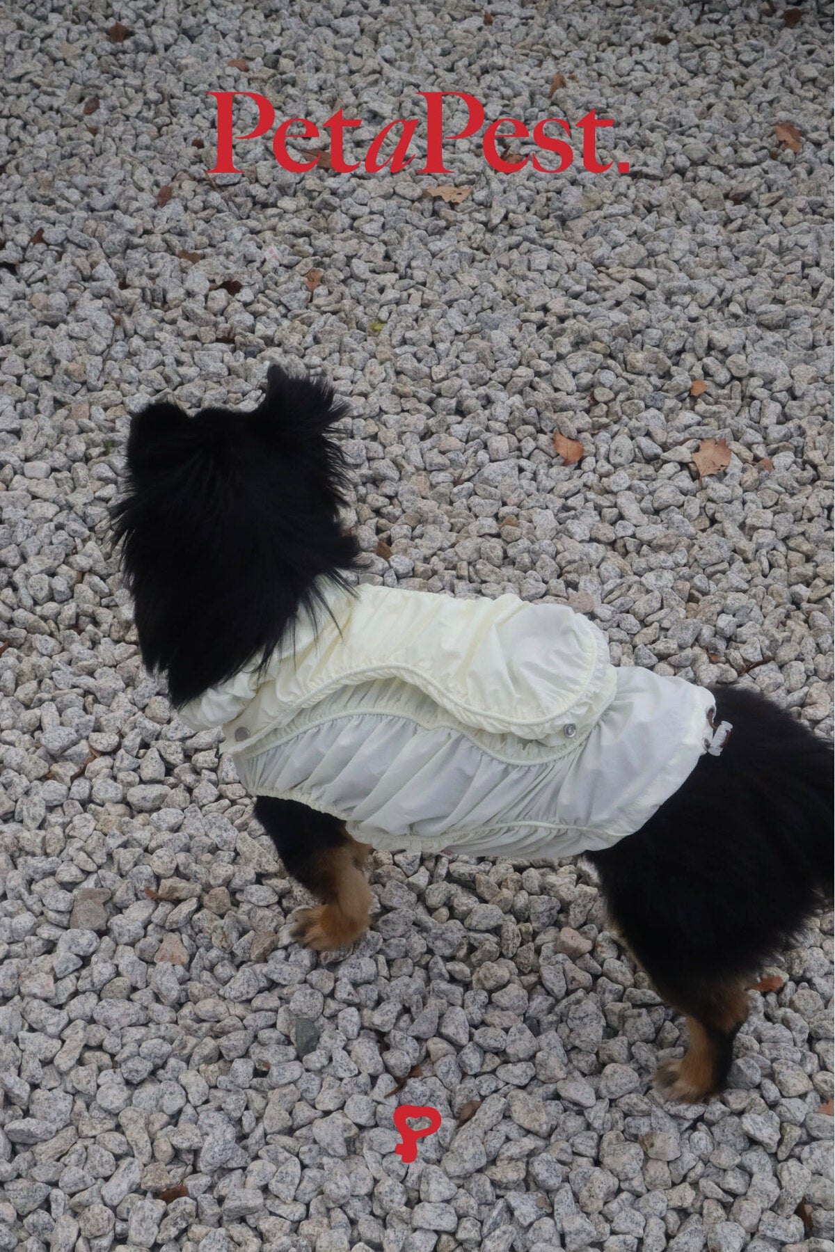 Smocking Sun Protective Jacket