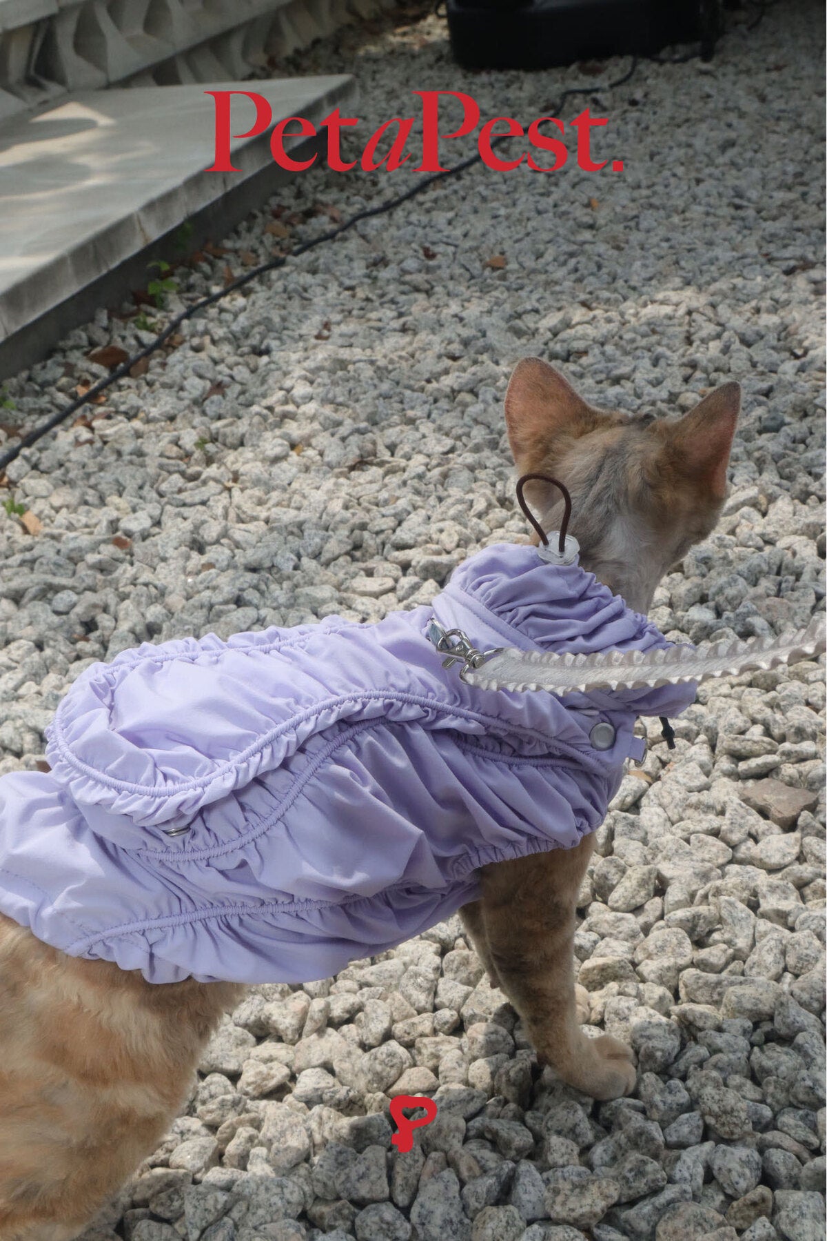 Smocking Sun Protective Jacket
