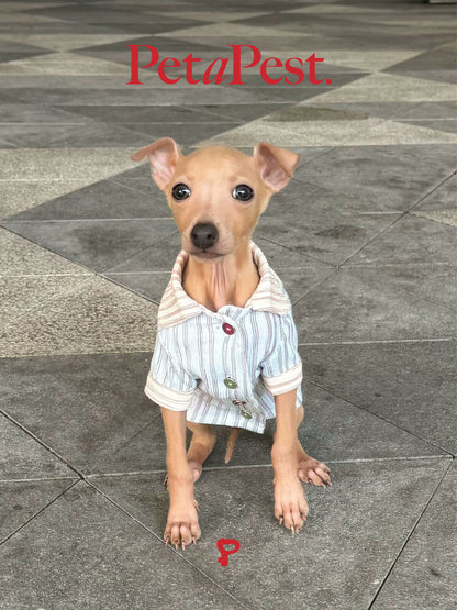 Contrast Color Striped Pyjamas for Pets